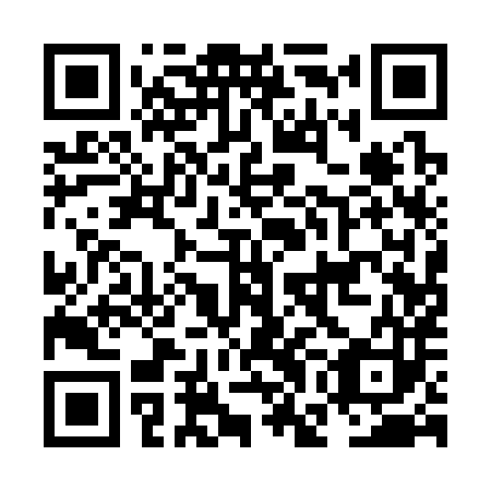 QR code for NGA 383