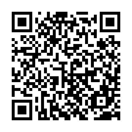 QR code for plate NGB 206