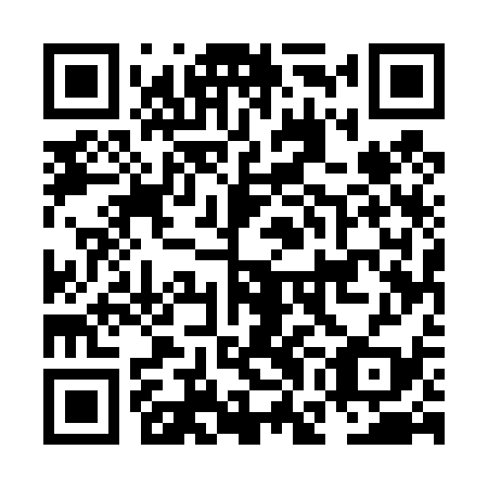 QR code for plate NGE 439