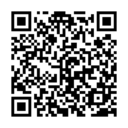 QR code for plate NGE 502