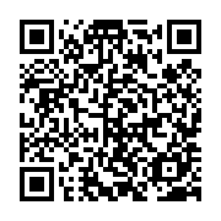 QR code for plate NGN 485