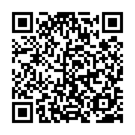 QR code for NGO 595
