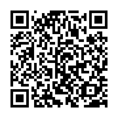 QR code for plate NGO 289