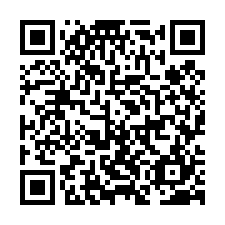 QR code for plate NGO 424
