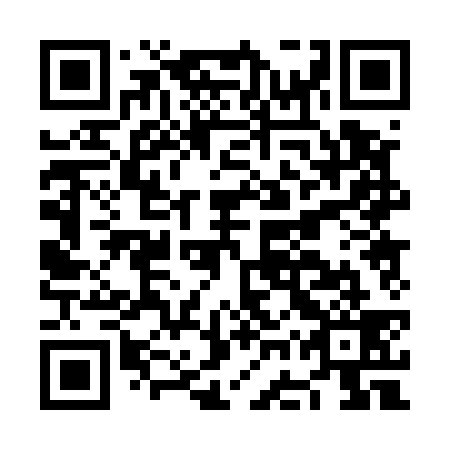 QR code for NGP 539