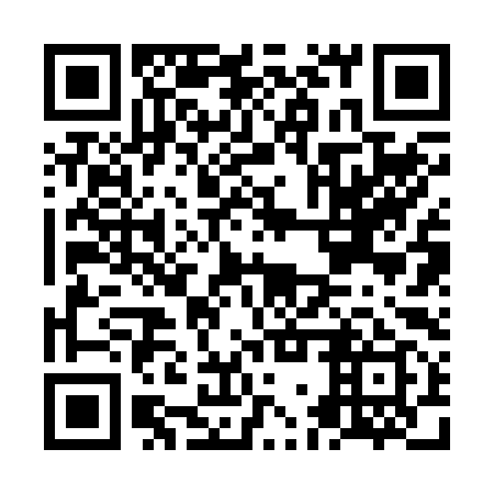 QR code for plate NGR 299