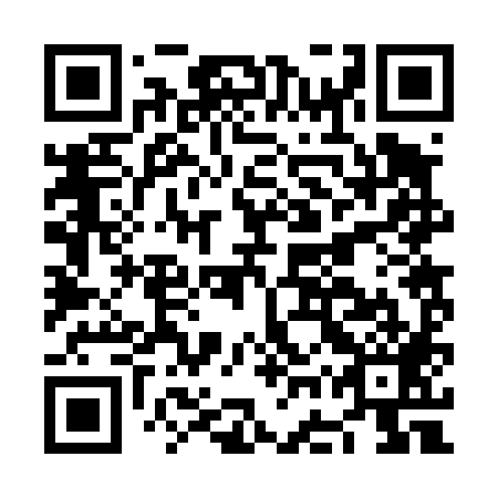 QR code for plate NGR 489