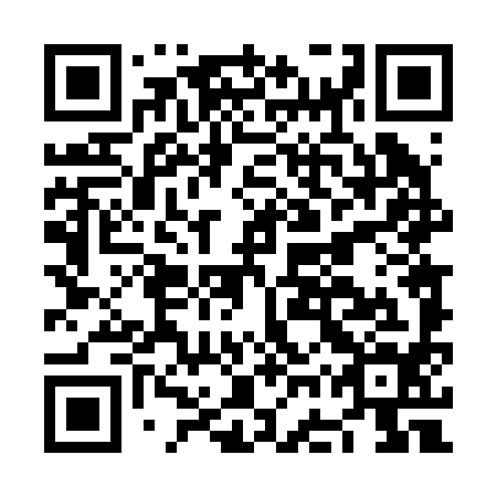 QR code for NGT 294