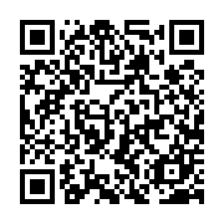 QR code for plate NGT 507