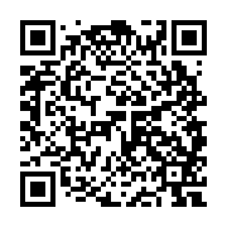 QR code for plate NGV 383