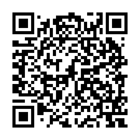 QR code for NGX 295