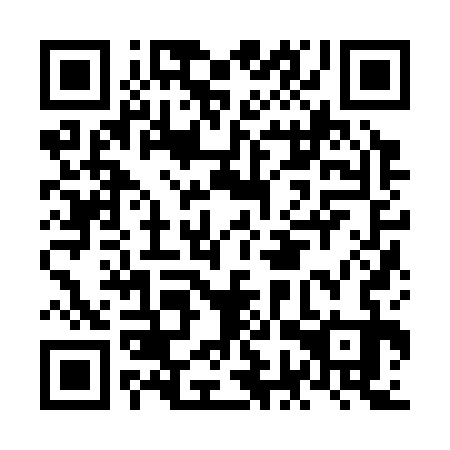 QR code for plate NGZ 333