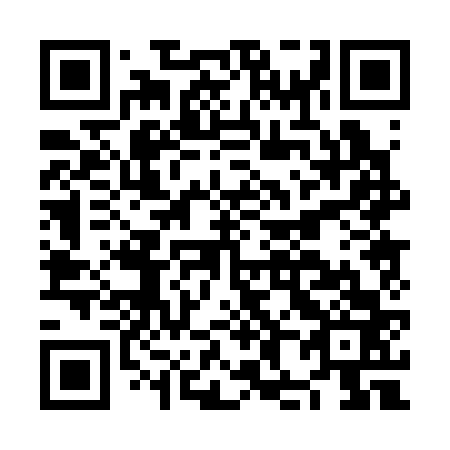 QR code for plate NH 0363