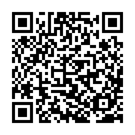 QR code for plate NH 0385