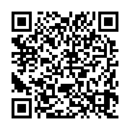 QR code for plate NH 0389