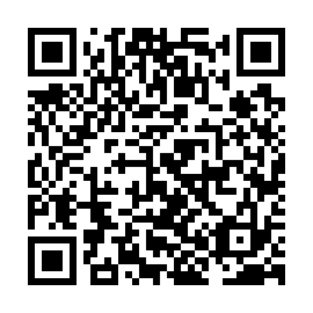 QR code for plate NH 6733