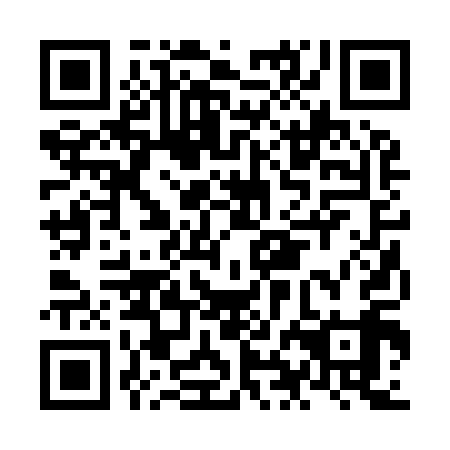 QR code for plate NHB 919