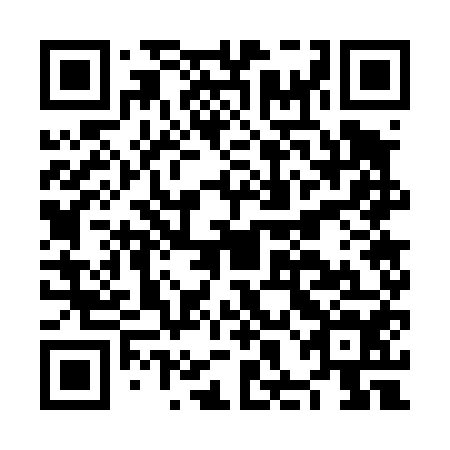 QR code for plate NHG 454