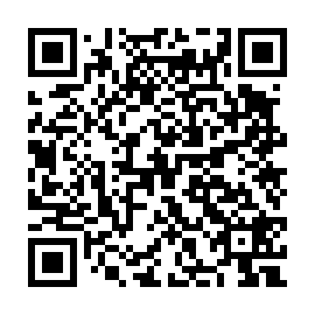 QR code for plate NHO 428