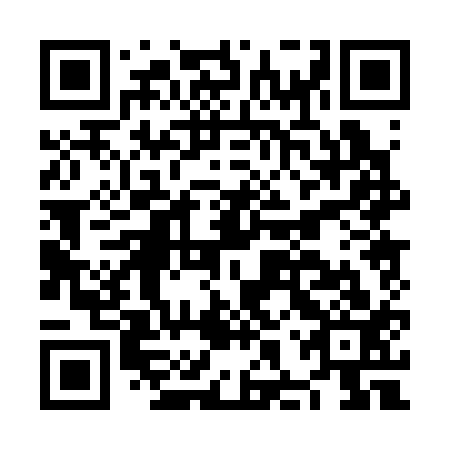 QR code for plate NHP 313