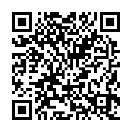 QR code for NI1333