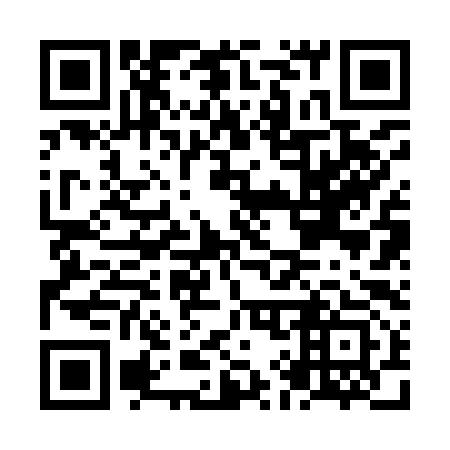 QR code for NI2993