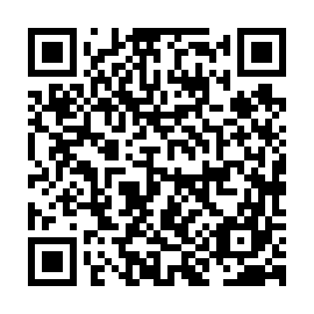 QR code for plate NI 8667