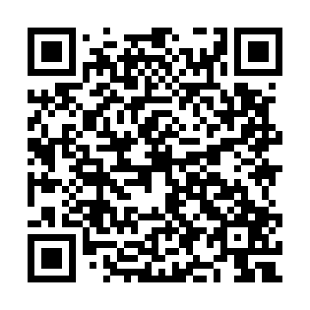 QR code for NI9507