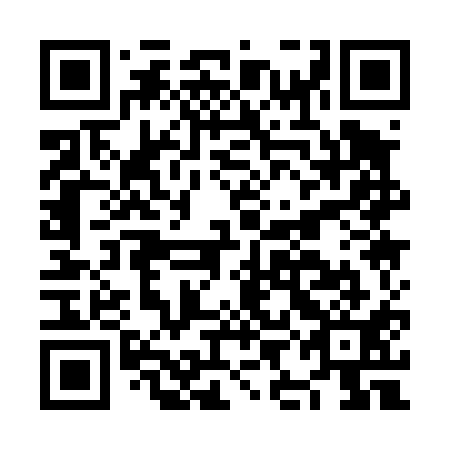 QR code for plate NIA 411