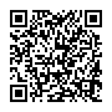 QR code for NIE 390