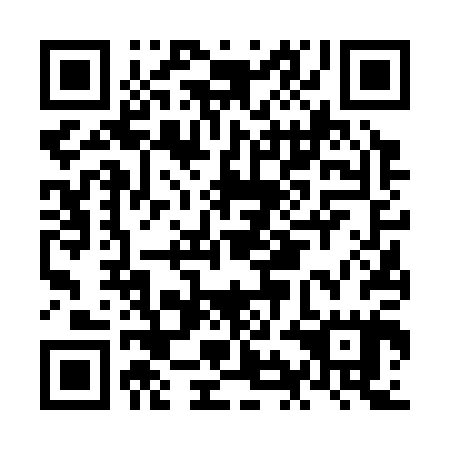 QR code for NIF 305