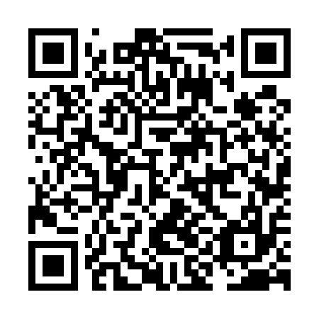 QR code for NIF 517