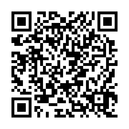 QR code for NIH 306