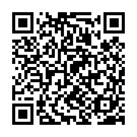 QR code for NII461