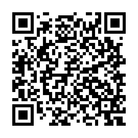 QR code for NIJ 193