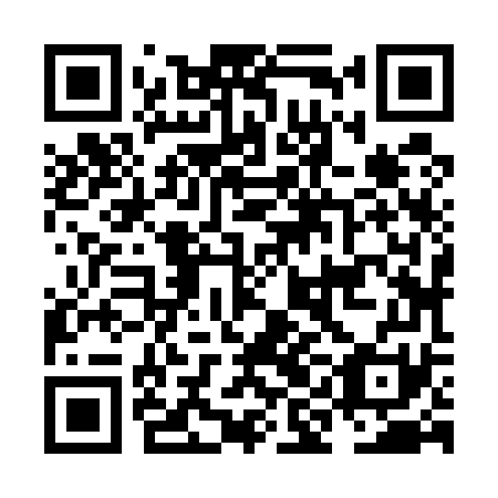 QR code for plate NIJ 571