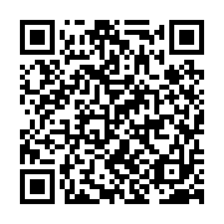 QR code for NIK 213