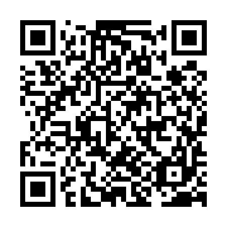 QR code for NIK 597