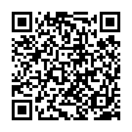 QR code for NIK 613