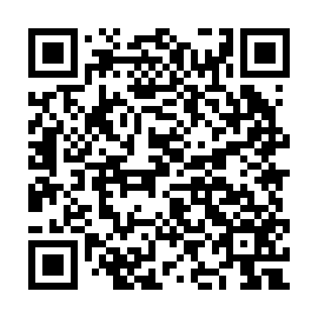 QR code for plate NIM 256
