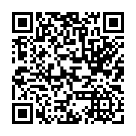 QR code for NIN 397
