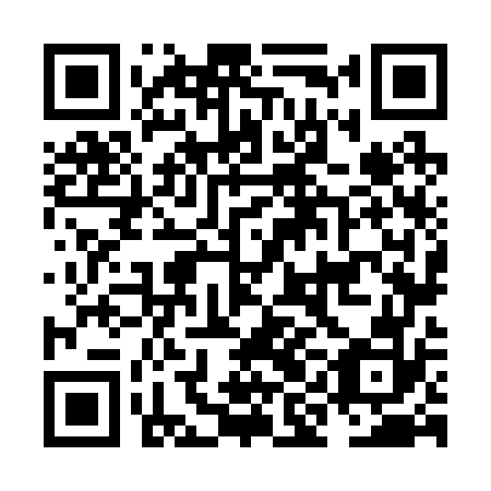 QR code for plate NIN 272