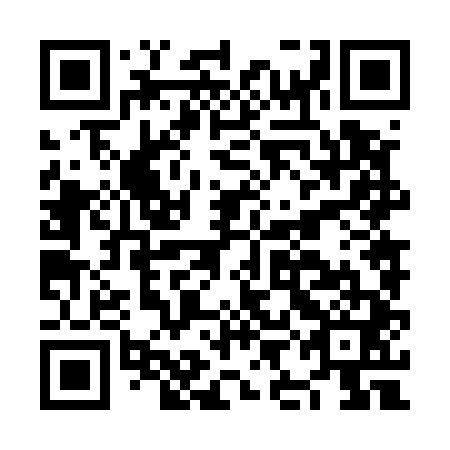QR code for NIN541