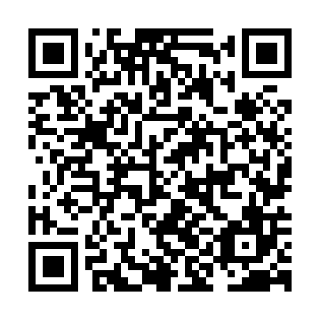 QR code for plate NIN 806