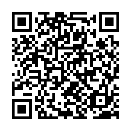 QR code for NIO 333