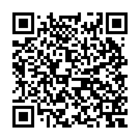 QR code for NIP 252