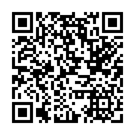 QR code for NIP307