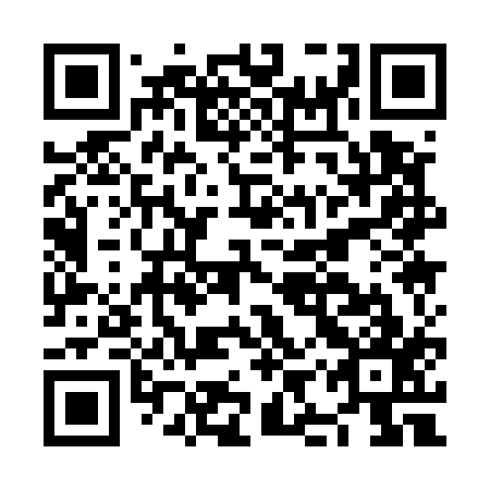 QR code for NIQ 517