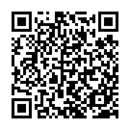 QR code for NIQ 607