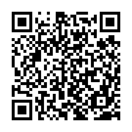 QR code for NIQ 676